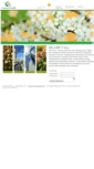 Mobile Screenshot of choresnmore.ca